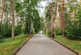 Главная